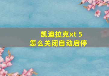 凯迪拉克xt 5怎么关闭自动启停